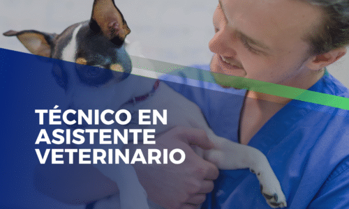 miniatura del curso