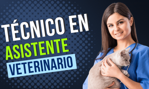 Técnico Asistente de Veterinario