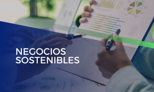 miniatura del curso